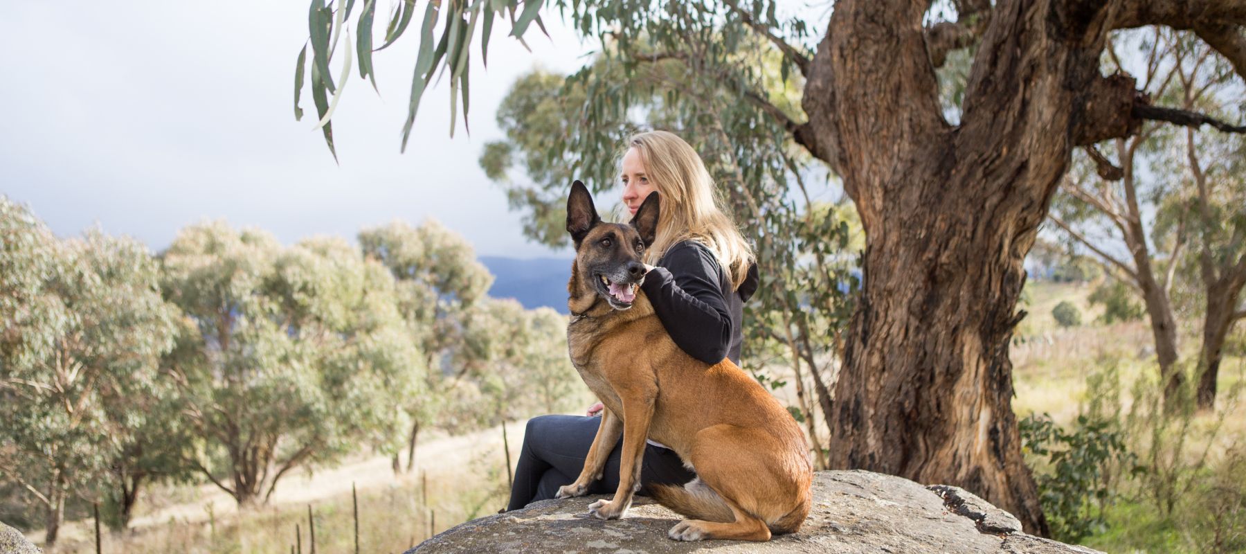 Feed For Thought founder sitting on a large rock outdoors with a Belgian Malinois dog by her side. She has one arm around the dog, and both are looking content. The background features gum trees, open countryside, and a partly cloudy sky.