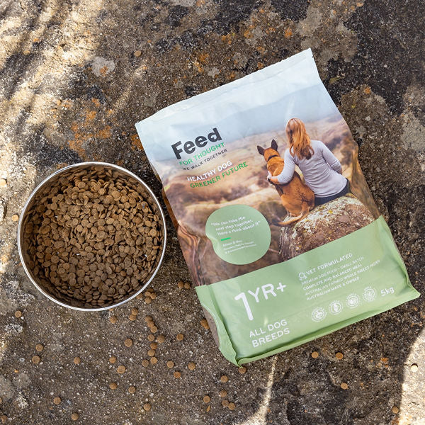 5kg Dog food package with a bowl of dog food on a rock