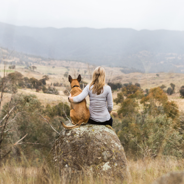 Person and dog sitting on a rock overlooking a scenic landscape