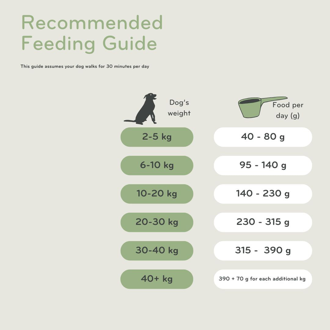 Recommended feeding guide for dogs with weight ranges and corresponding food amounts on a light beige background.