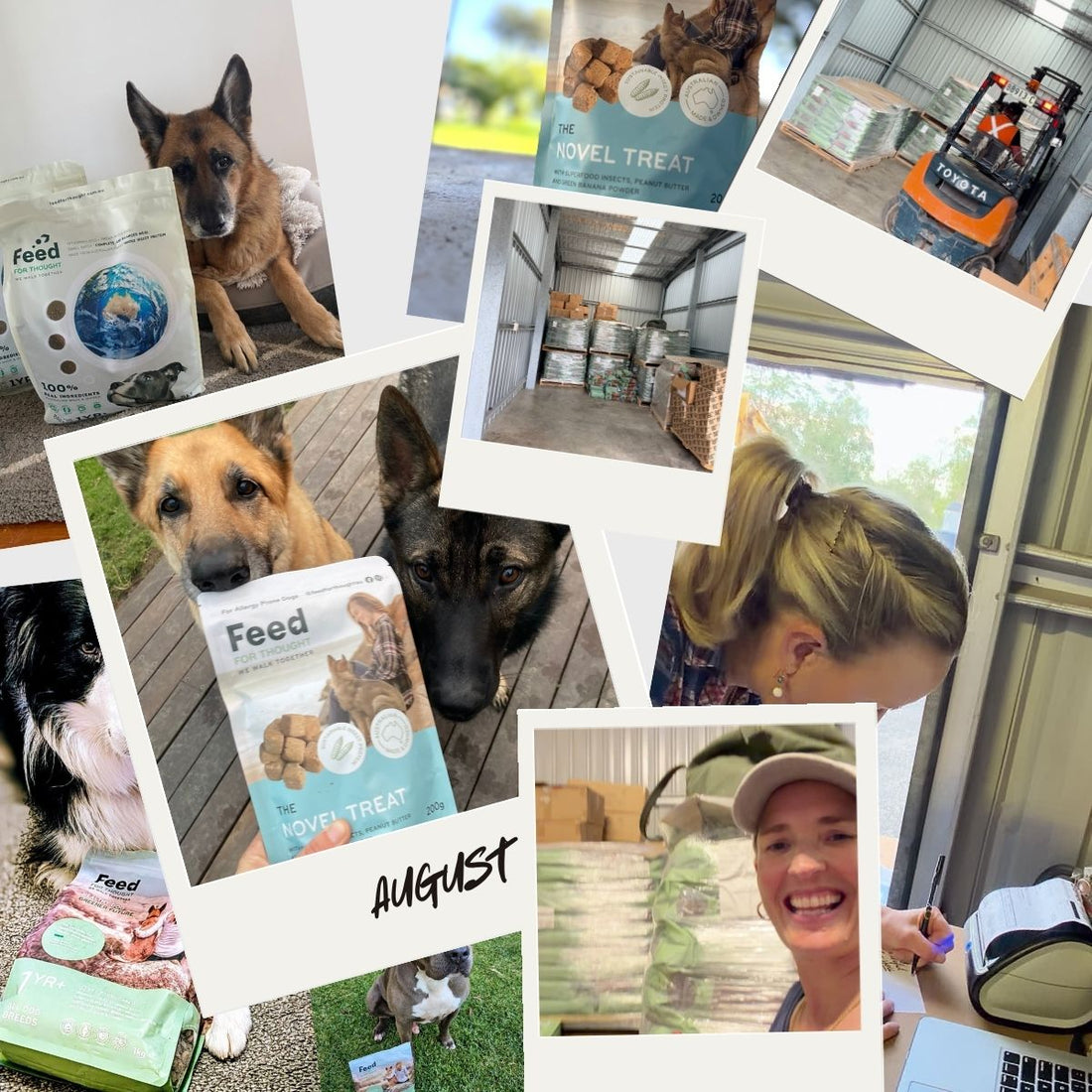 Behind the Scenes at Feed For Thought: Growing an Australian Insect Protein Dog Food Business in August 2026