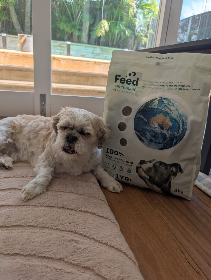 Small white dog lying on the floor beside a 5kg bag of Feed For Thought sustainable dog food near a glass door.
