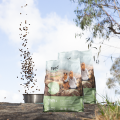 2 bags of Feed For Thought 5kg dog food bag outdoors with kibble pouring into a metal bowl, featuring a woman and dog on the packaging.