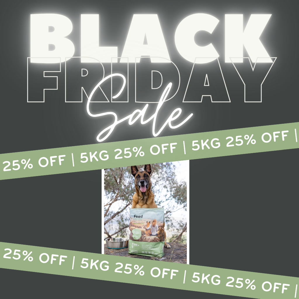 Black Friday Sale 5kg Insect Protein Dog Food