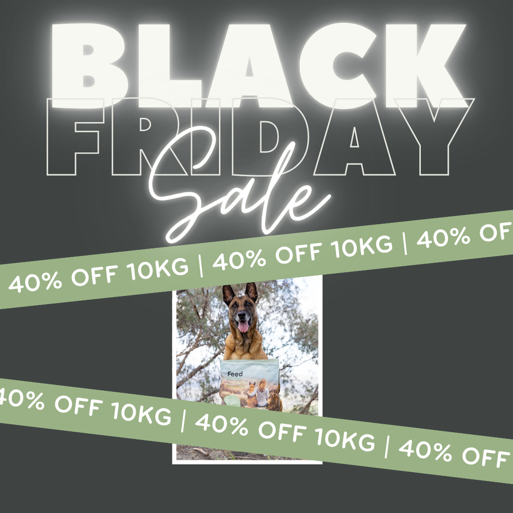 Black Friday Sale 10kg                 Insect Protein Dog Food