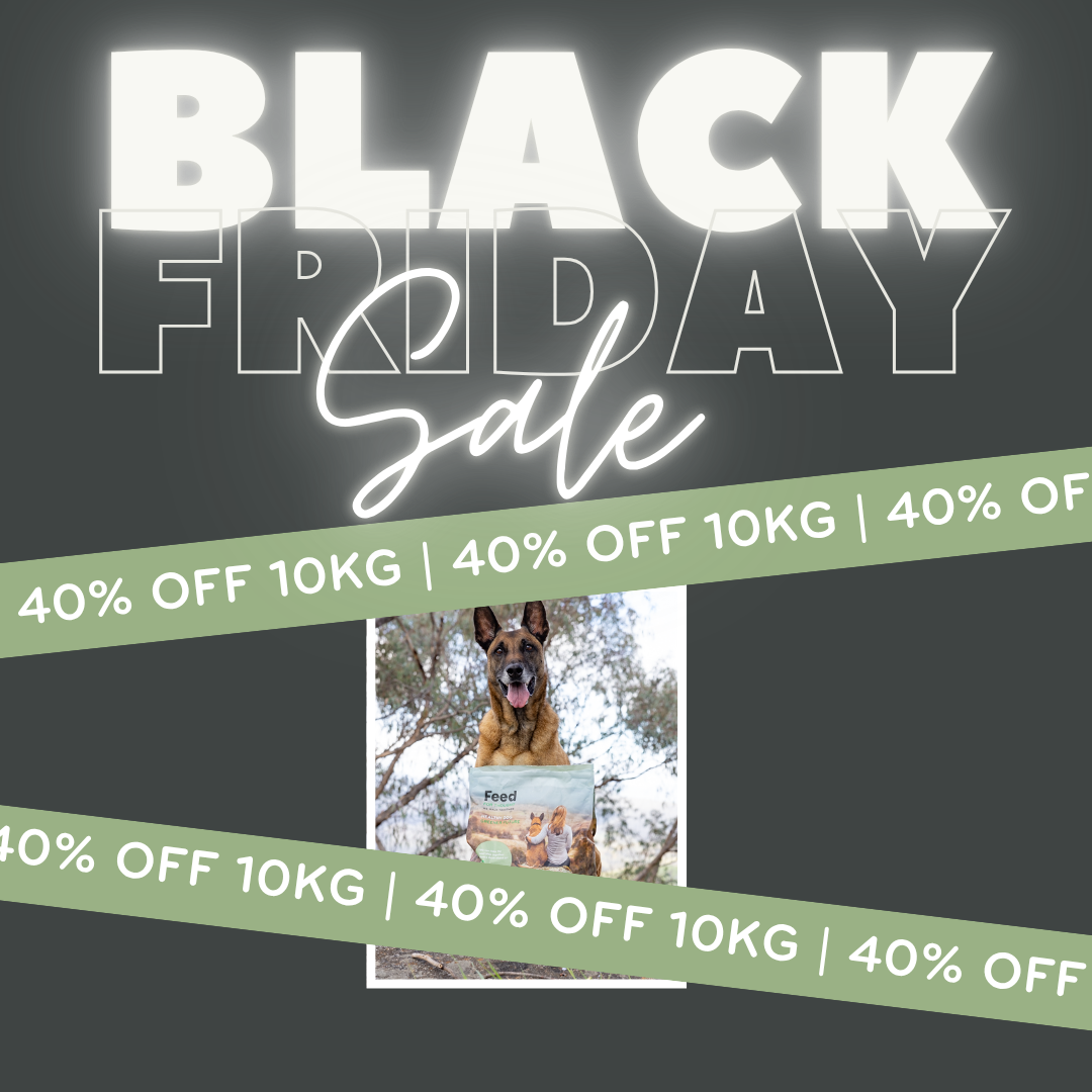 Black Friday Sale 10kg                 Insect Protein Dog Food