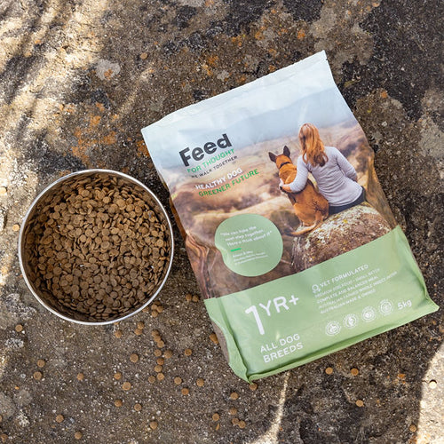 5kg Dog food package with a bowl of dog food on a rock