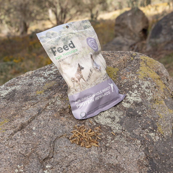 Package of 'Feed for Thought Air Dried Whole Insect Protein Rewards' on a rock with dried insects beside it, outdoors.