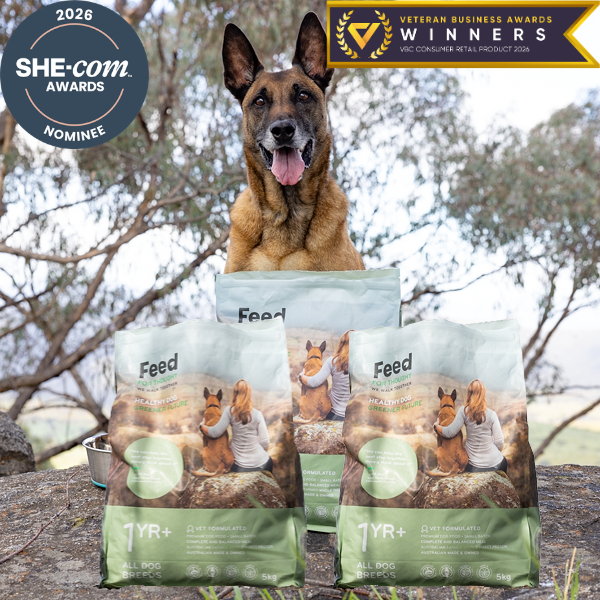 Insect Protein Dog Food: Novel Protein Diet