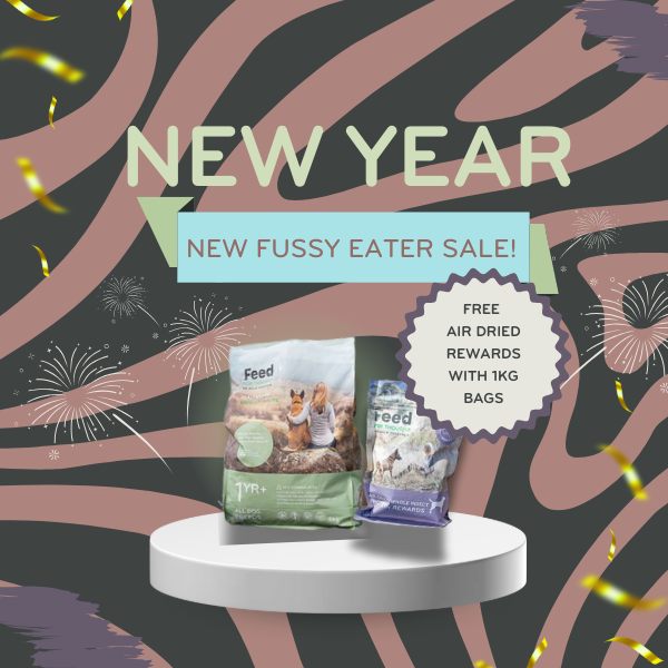 Insect Protein Dry Dog Food (Sustainable & Allergy Friendly)