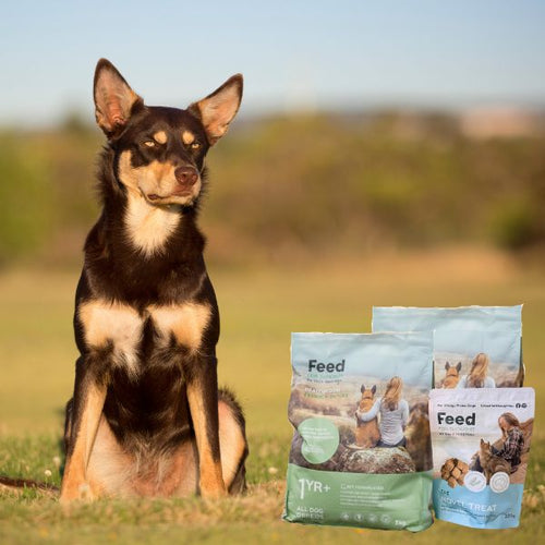 Best Sellers Bundle