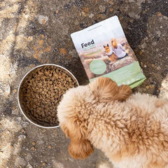 Cavoodle sitting on a rock next to a 1kg bag of Feed For Thought dog food outdoors |Allergy friendly dog food