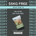 Insect Protein Dog Food: Novel Protein Diet