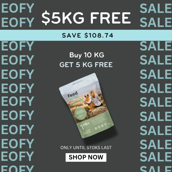Insect Protein Dog Food: Novel Protein Diet