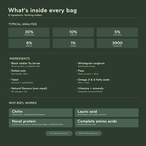Insect Protein Dog Food: Novel Protein Diet