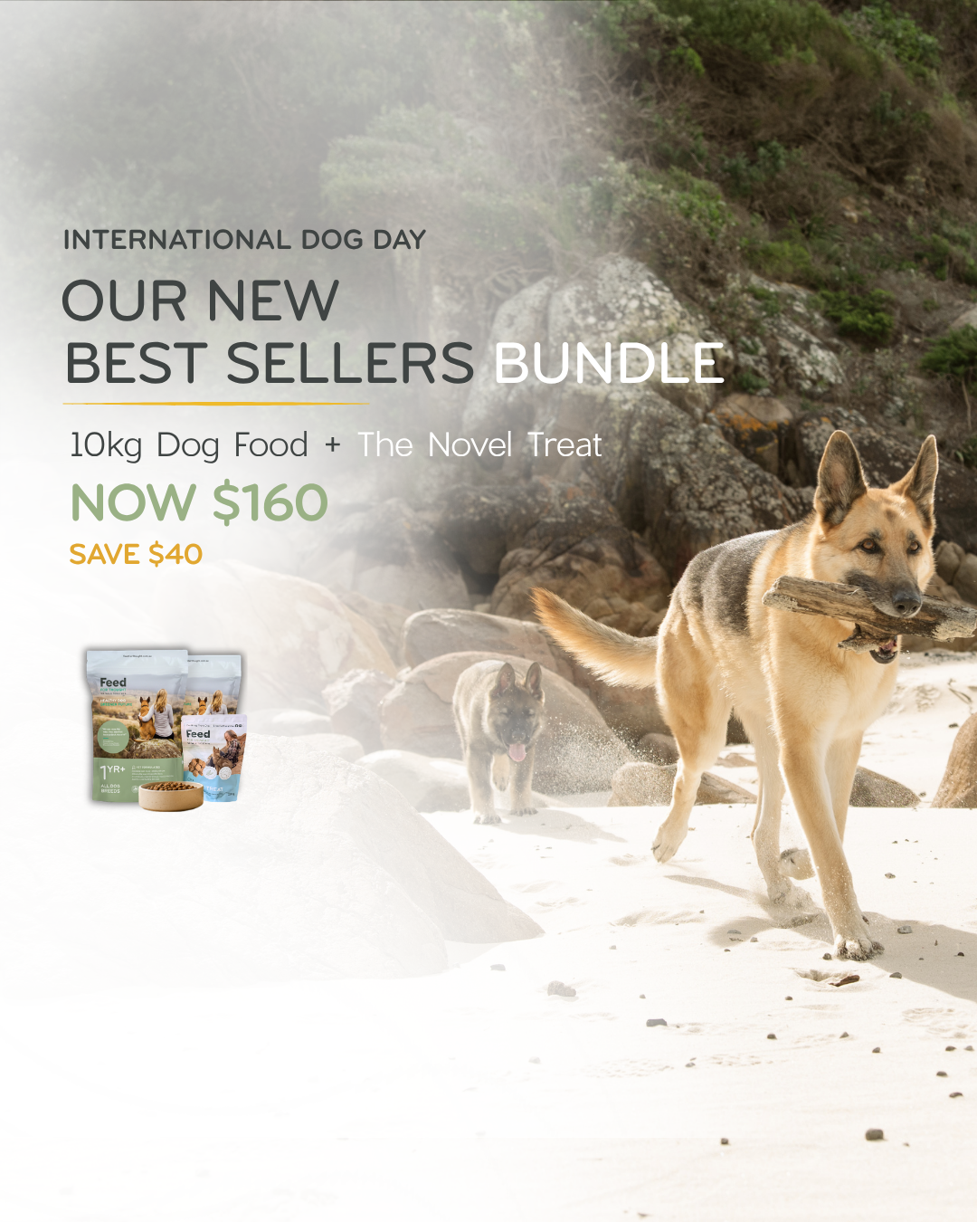 Best Sellers Bundle