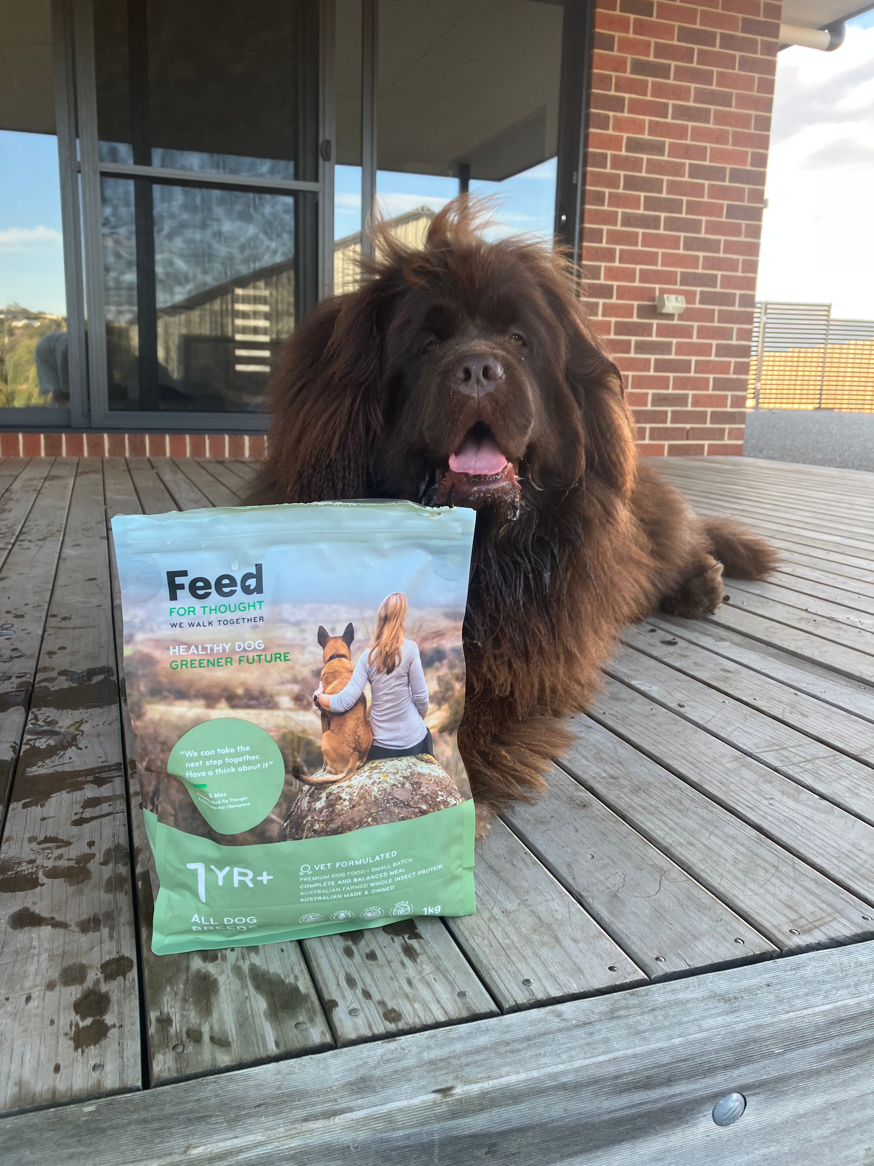 Brown dog sitting next to a package of dog food on a wooden deck.