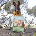 Dog sitting on a rock behind a 5kg bag of Feed For Thought dry dog food with a natural outdoor background