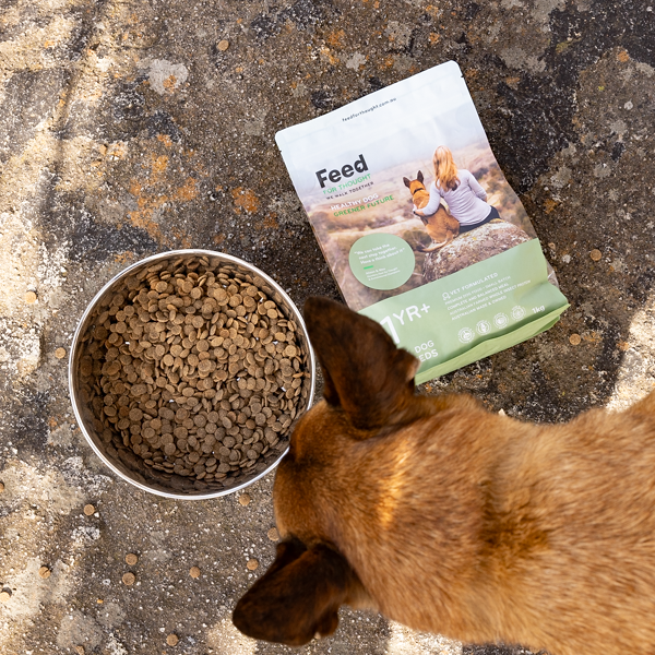 Dog eating from a bowl of Feed For Thought food next to a 1kg bag of Feed For Thought dry dog food on a rock.