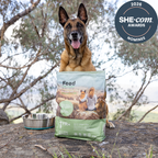 Insect Protein Dog Food: Novel Protein Diet