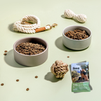 Two bowls of dog food, a rope toy, and a package labeled 'Feed For Thought Sampe Pack' on a light green background.