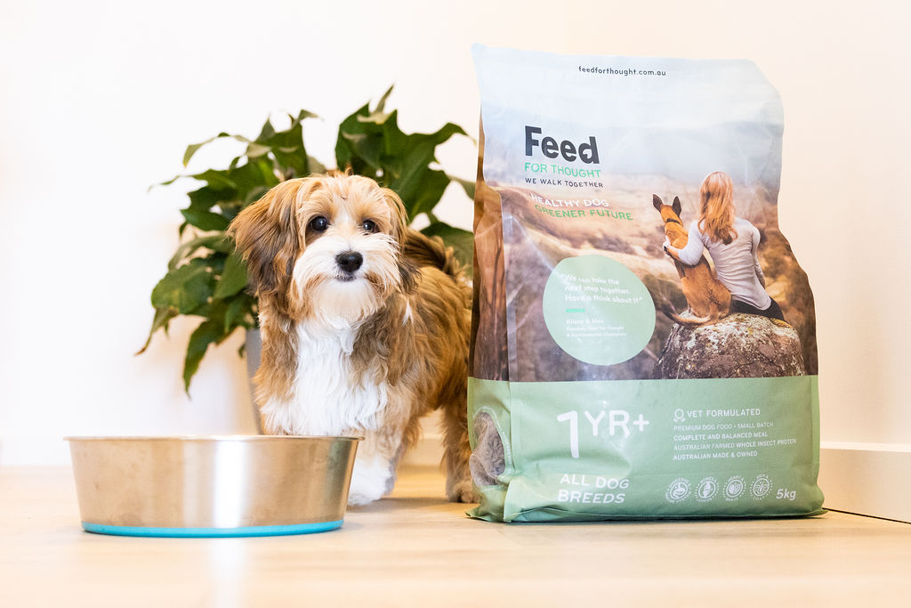 Sustainable Dog Food | Feed For Thought