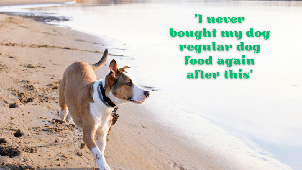 Dog on beach running with text 'I never bought my dog regular food again after this'