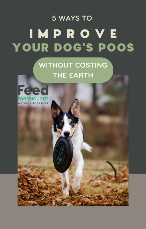 Improve your dogs poo