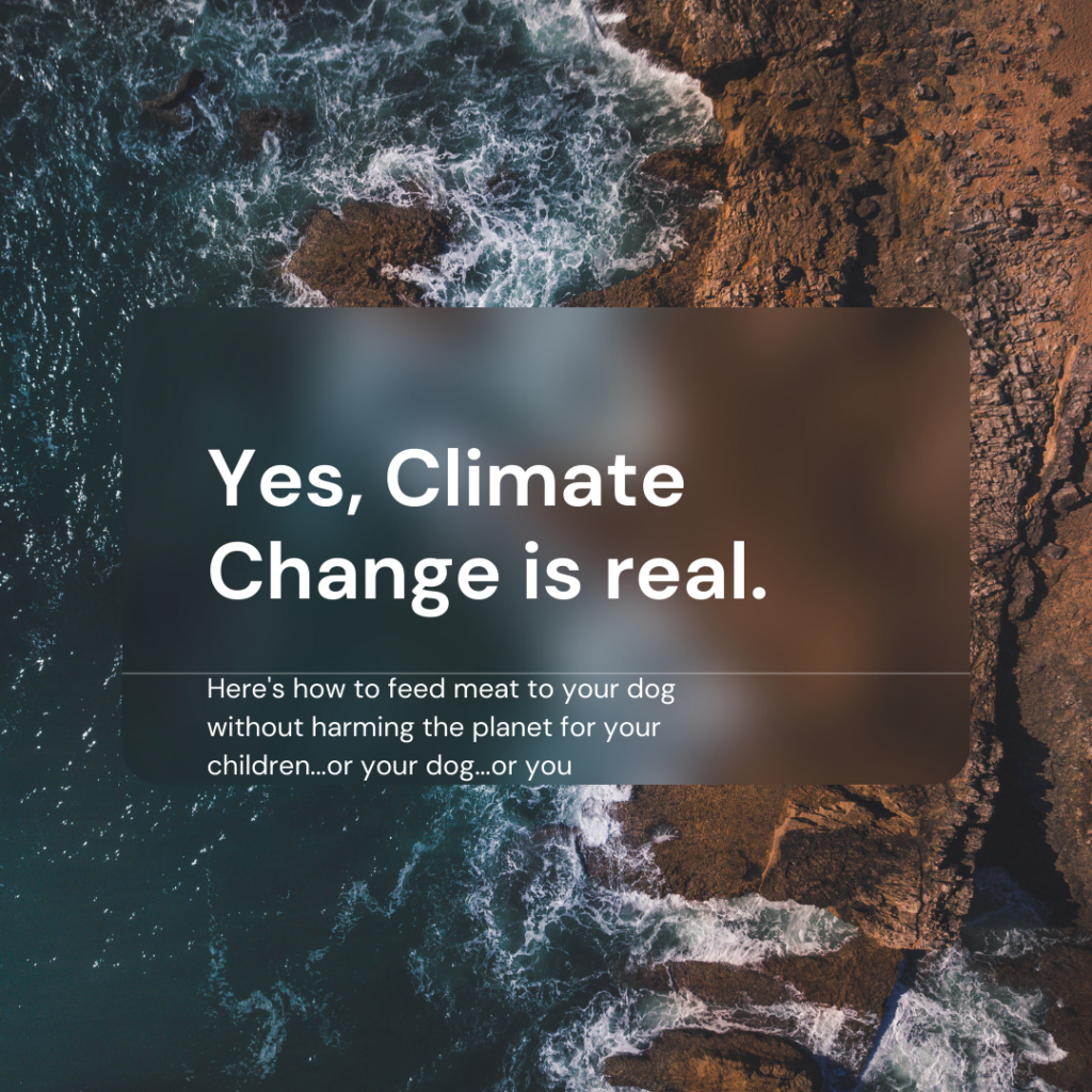 Image is text overlayed on an aerial view of a rocky beach. The text says 'yes, climate change is real' and then in smaller font 'Here's how to feed meat to your dog without harming the planet for your children...or your dog...or you'