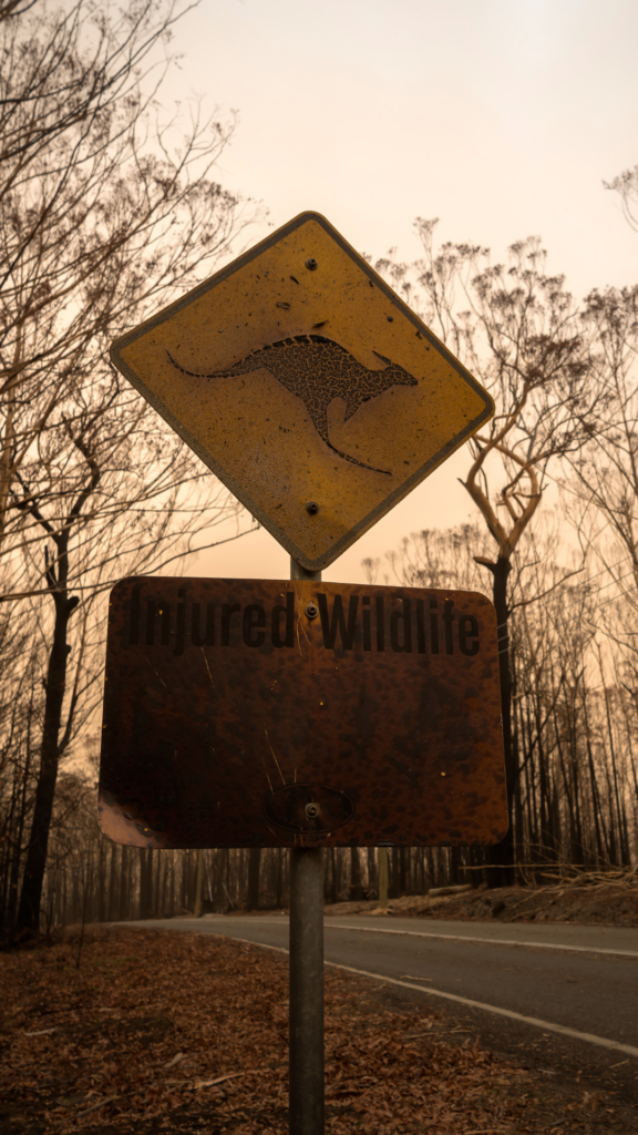 Kangaroo sign burned by bushfire