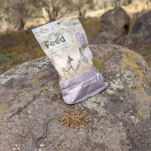 100g packet of insect rewards with sample on rock