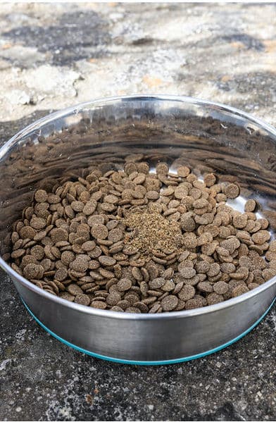 Stainless steel dog bowl filled with brown kibble and a sprinkle of powdered supplement on top, placed on an outdoor stone surface.